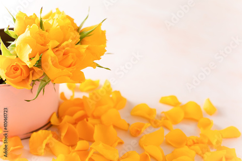 Yellow rose in pink bucket, petals fall on the floor.