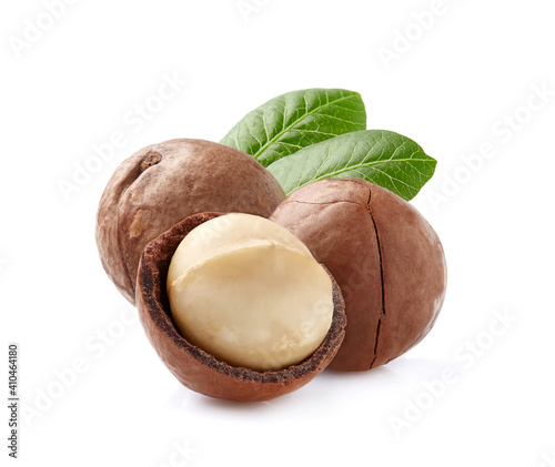 Macadamia nuts with leaves on white background