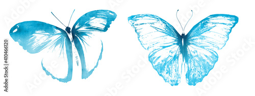 Color watercolor abstract butterfly as imprint, isolated on white background