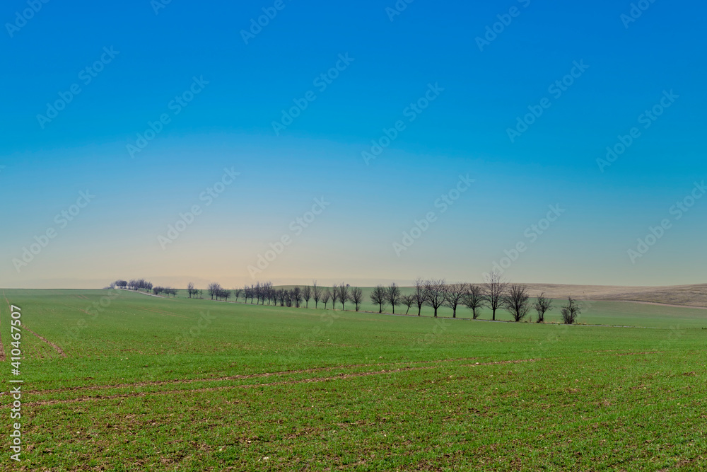 rural area with fields