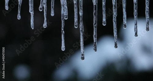 Icicles are melting , Melting Icicles , Drops From Melting Snow , Water drop