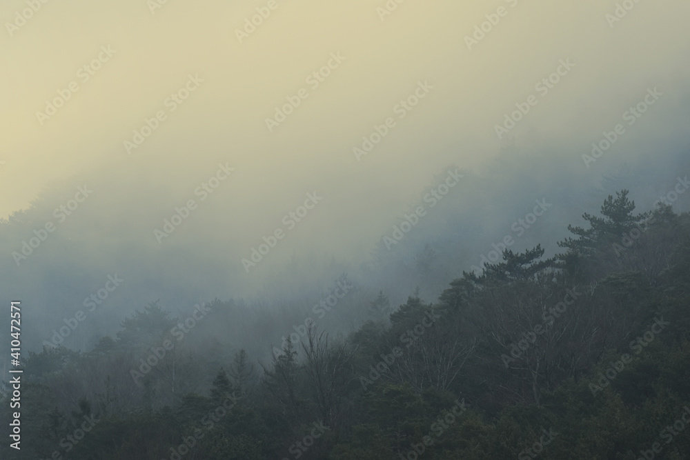 Landscape with fog at sunrise yellow and blue colors, horizon vanishing in mist