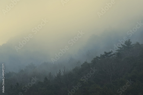 Landscape with fog at sunrise yellow and blue colors, horizon vanishing in mist