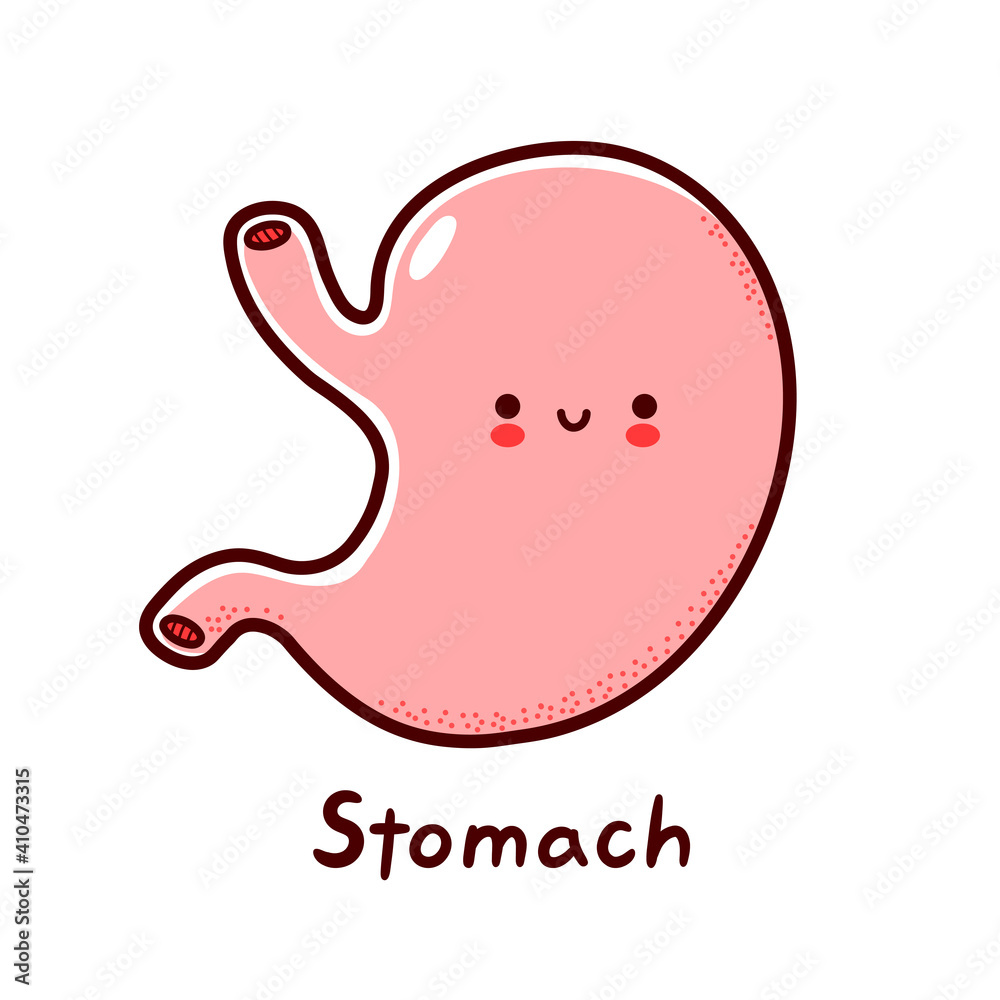 Obraz premium Cute happy funny human stomach organ character. Vector flat line cartoon kawaii character illustration icon. Isolated on white background. Stomach with face character mascot concept