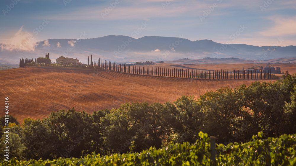 Tuscany landscape with rolling hills, farm house and rows of cypress