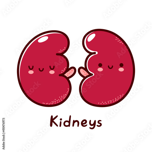 Cute happy funny human kidneys organ character. Vector flat line cartoon kawaii character illustration icon. Isolated on white background. Kidneys with face character mascot concept