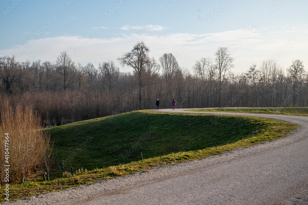 Italy, Province of Como, two unknown people walking in the woods.