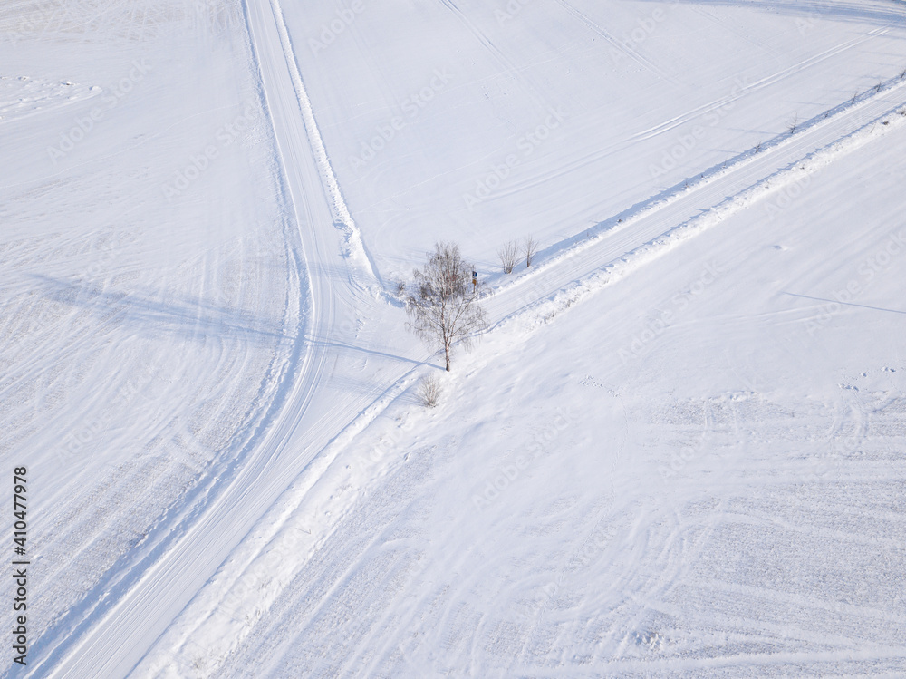 Top down view where you can see a white snow-covered field where a white snowy road branches off and there is a tree in the middle
