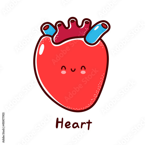 Cute happy funny human heart organ character. Vector flat line cartoon kawaii character illustration icon. Isolated on white background. Heart with face character mascot concept