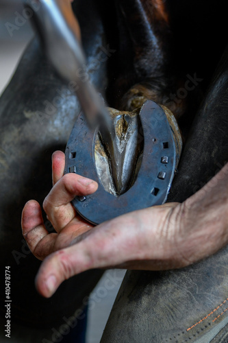 A farrier attaching a horseshoe to a horse hoof