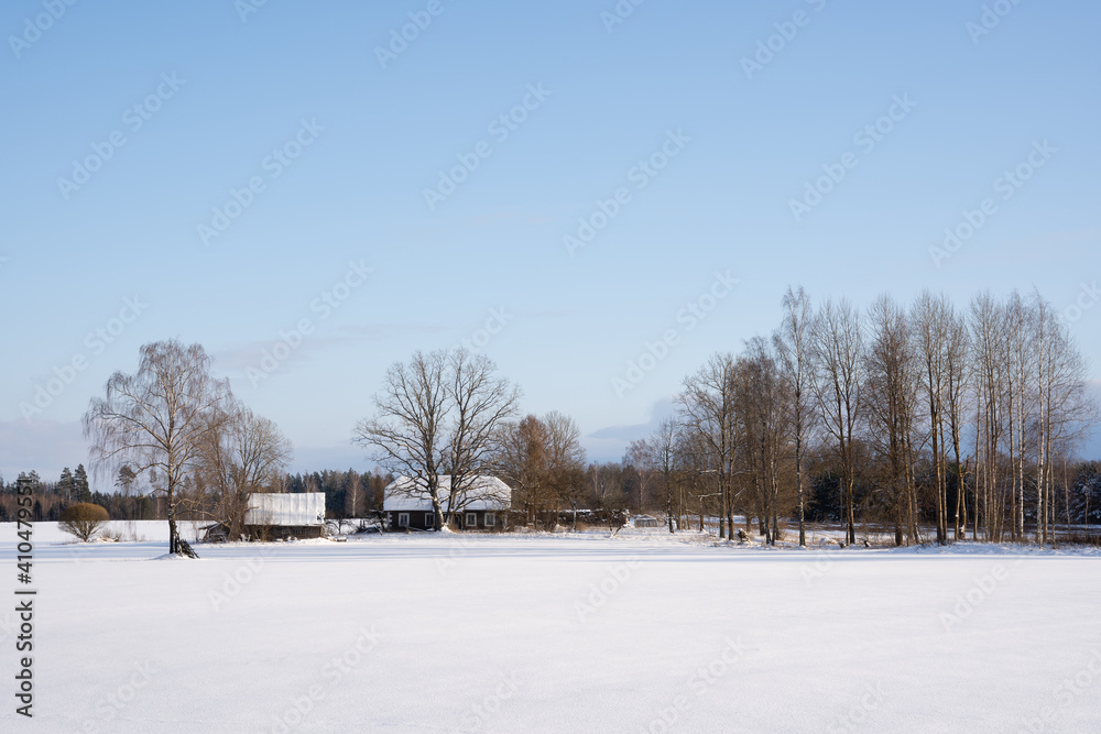 white snowy field behind which is an old country house with trees of different sizes