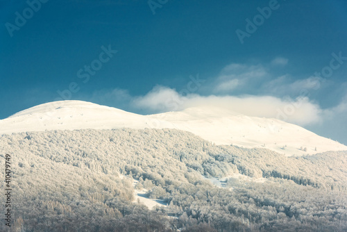 Fototapeta Naklejka Na Ścianę i Meble -  Snowy Bieszczady Mountains in Winter. Snow Covered Trees. Blue Sky and Sunny Day in Poland.