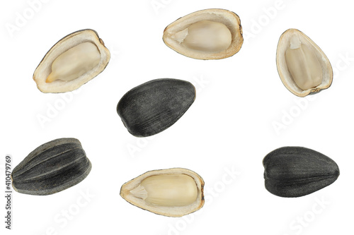 Seeds isolated on white background