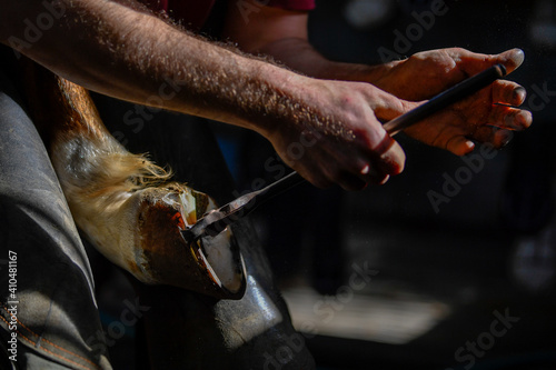 A farrier adjusting a horseshoe 