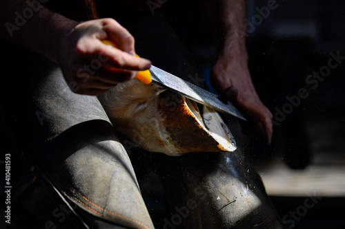 A farrier adjusting a horseshoe 