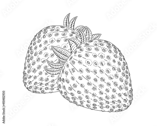 Garden strawberry fruit vector engraved style illustration for posters, decoration and print. Hand drawn etching sketch of passion fruit in monochrome. Detailed vegetarian food linocut drawing. Scratc