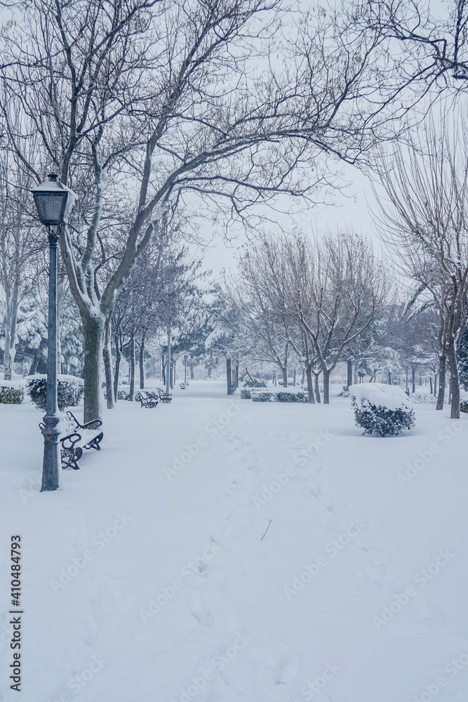 Obraz premium Completely snow-covered park.