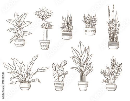 Sketch of decorative indoor plants growing in pots. Hand drawn in line style. Set of beautiful evergreen home decorations. Vector illustration of houseplants isolated on white background