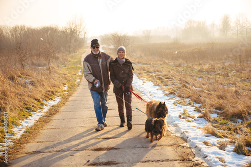 Photography Senior couple walking with dogs in winter