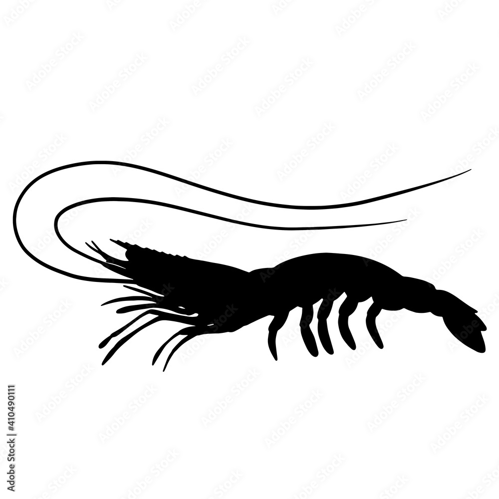 black and white silhouette of shrimp
black and white silhouette of shrimp