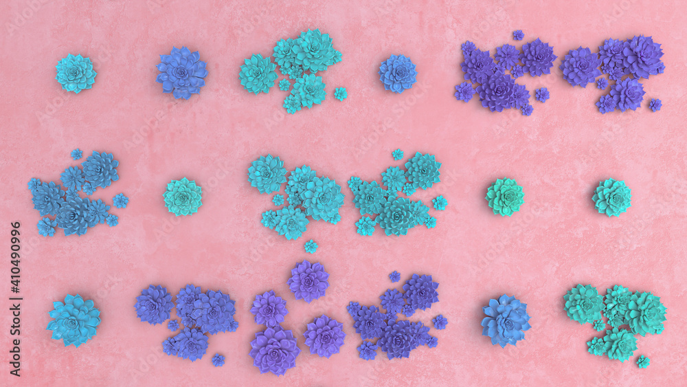 succulents blue flowers pink background zenithal
