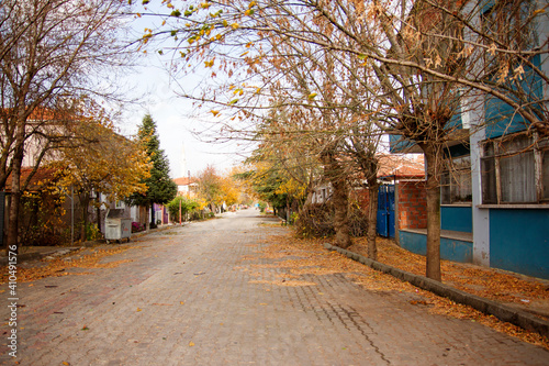 empty street in autumn photo