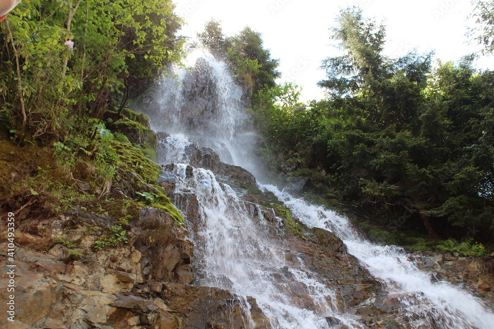 Obraz premium waterfall in the forest