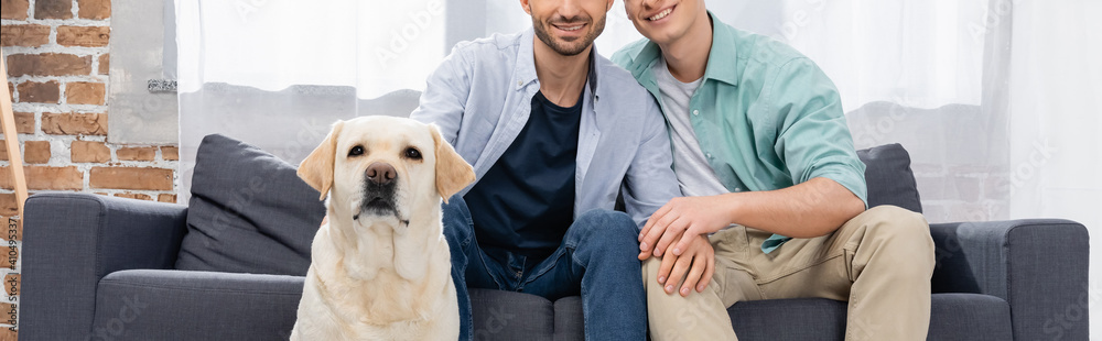 cropped view of same sex couple sitting on sofa near dog, banner cropped view of same sex couple sitting on sofa near dog, banner