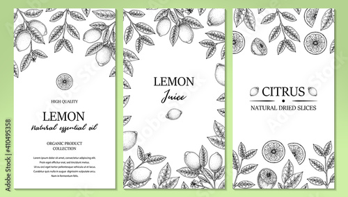 Set of hand drawn vertical vintage lemon design. Vector illustration in sketch style isolated on white.