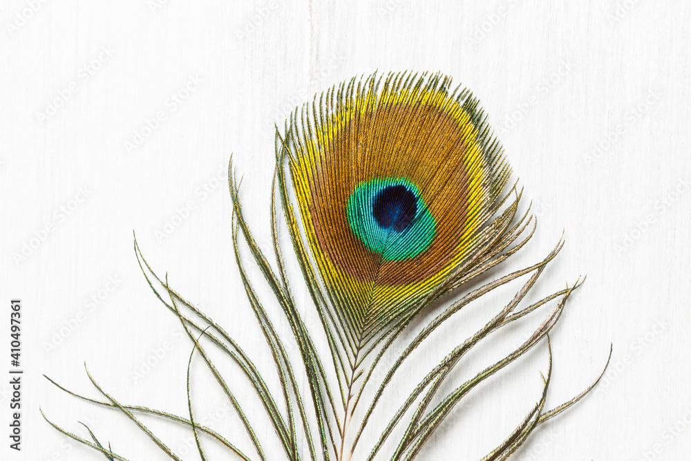 Fototapeta premium Peacock feather close-up, on a light wooden background with space