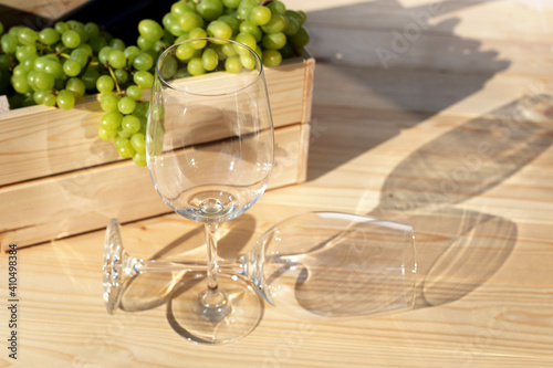 Glasses of wine next to a wooden box with grapes in the bright summer sun. Harvesting, wine making. Copy space