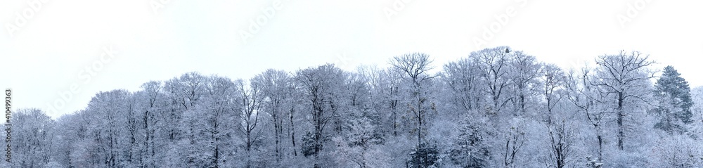 Panorama verschneite Bäume