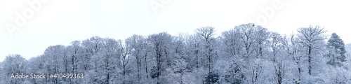 Panorama verschneite Bäume