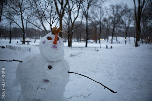 Central Park in snow, New York City © Tatiana
