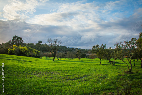 Beautiful winter day in the green fields.Landscape view of the plains in Ribatejo, Portugal