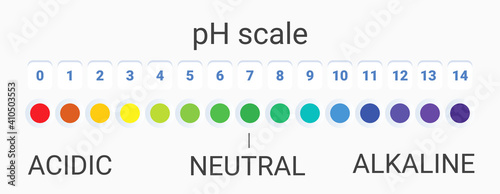 ph scale value. infographic acid-base balance. scale for chemical analysis acid base. vector illustration. colorful graph for test