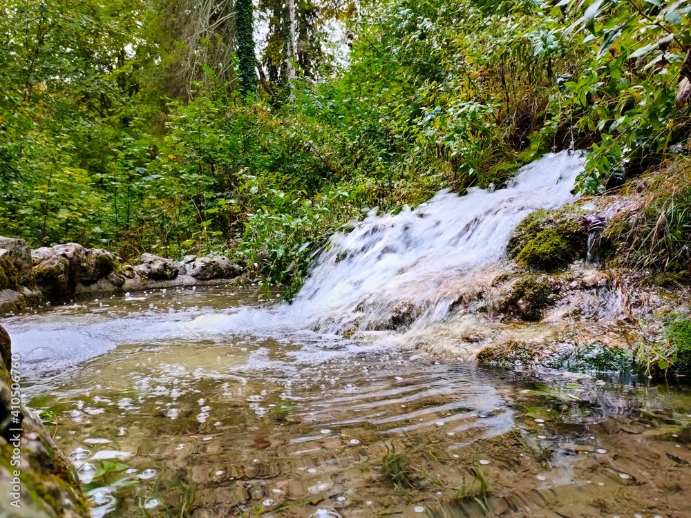 river in the forest