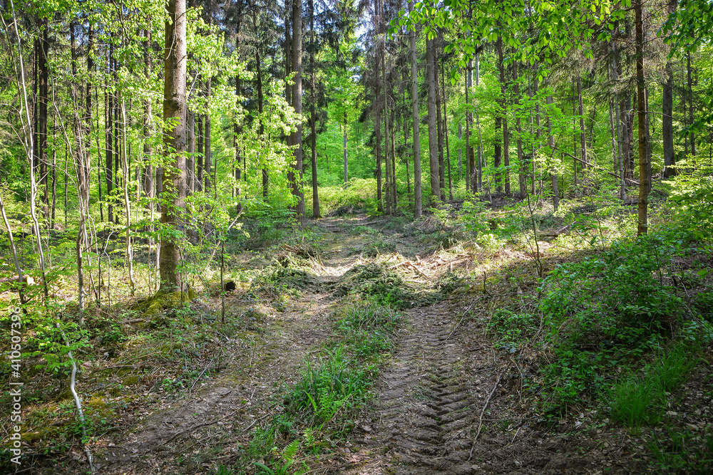 Forest Way Nature Path Tractor trees green grass Forest Way Nature Path Tractor trees green grass