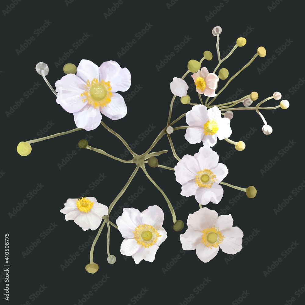 Obraz premium white flowers with a yellow center. bush of white flowers. watercolor illustration