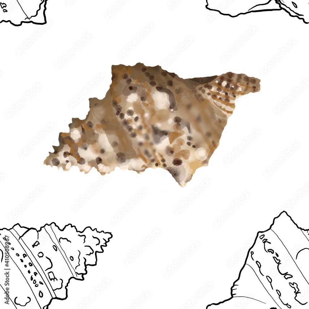 Pattern seashell on background. high quality watercolor illustration. marine design Pattern seashell on background. high quality watercolor illustration. marine design