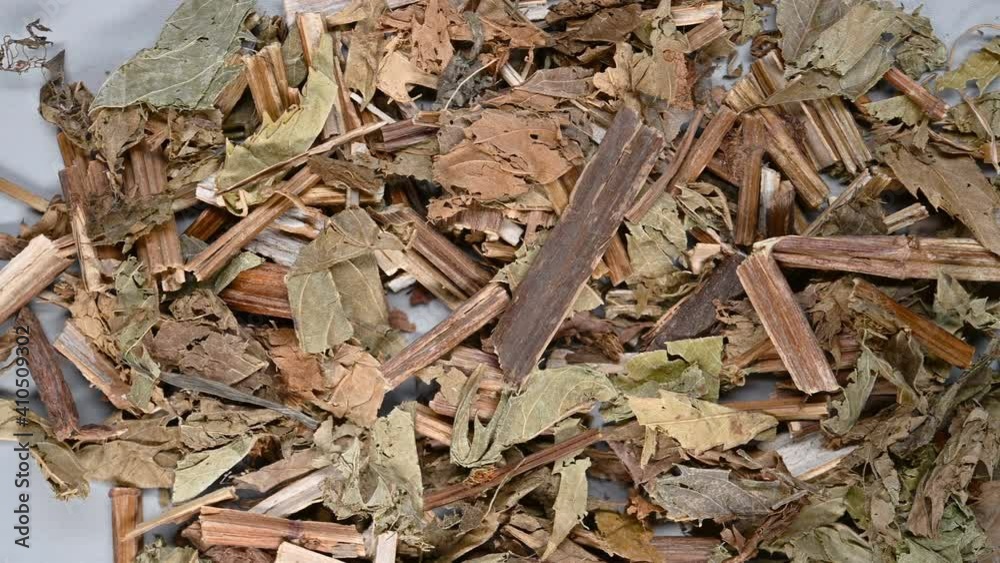 top pan view herb ZeLan or Lycopi Herba or Hirsute Bugleweed Herb