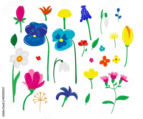 Set of spring colorful flowers and leaves. Hand drawn flat cartoon elements. Vector illustration isolated on white background.