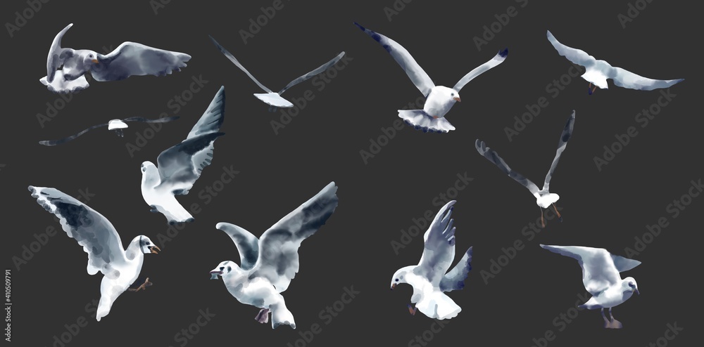 Fototapeta A flock of seagulls flying in the sky. illustration watercolor 