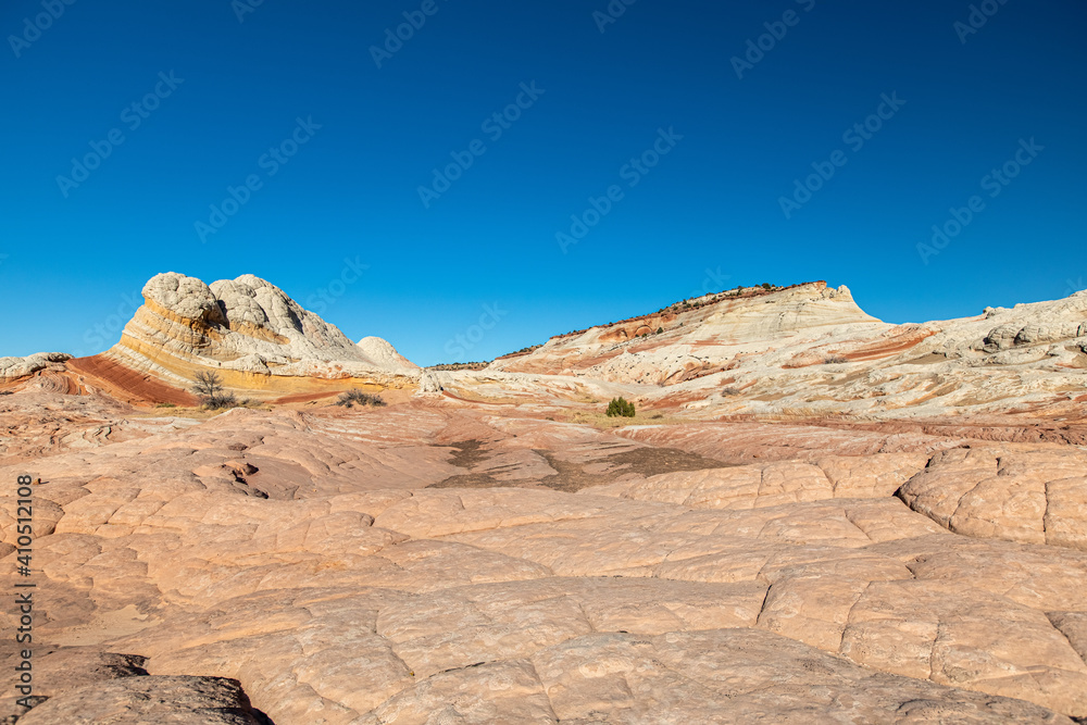 Fototapeta premium White Pocket