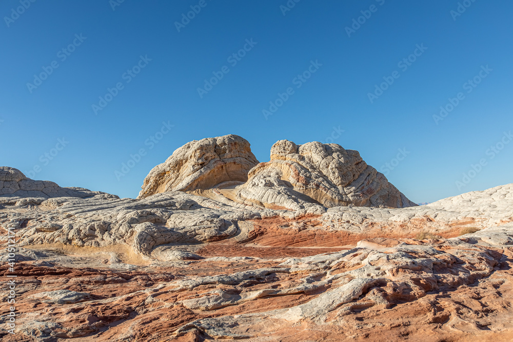 Fototapeta premium White Pocket