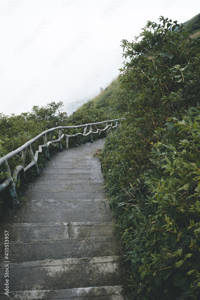 Path between trees on top of Wugong Mountain in Jiangxi, China