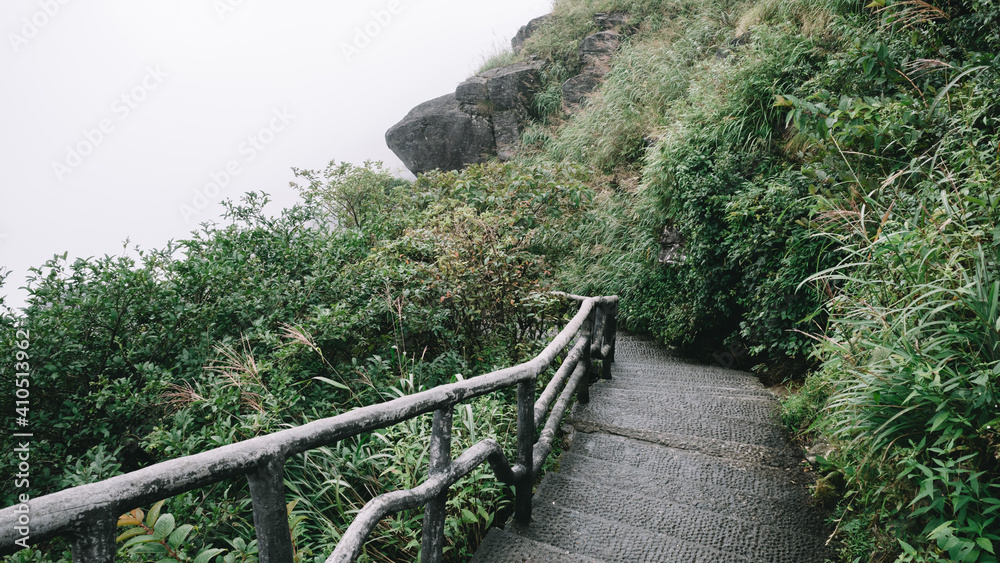 Fototapeta premium Path between trees on top of Wugong Mountain in Jiangxi, China
