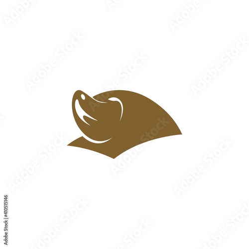 Mole animal logo icon design illustration vector photo