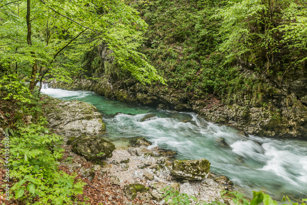 River Radovna in Vintgar gorge near Bled, Slovenia River Radovna in Vintgar gorge near Bled, Slovenia