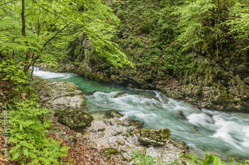 River Radovna in Vintgar gorge near Bled, Slovenia